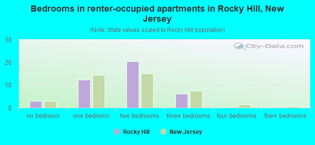 Bedrooms in renter-occupied apartments in Rocky Hill, New Jersey