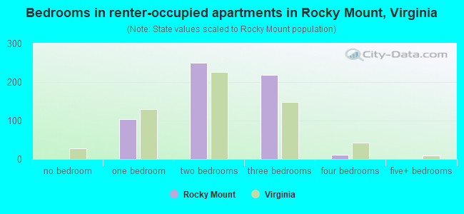 Bedrooms in renter-occupied apartments in Rocky Mount, Virginia