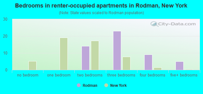 Bedrooms in renter-occupied apartments in Rodman, New York