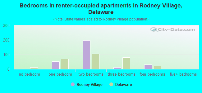 Bedrooms in renter-occupied apartments in Rodney Village, Delaware
