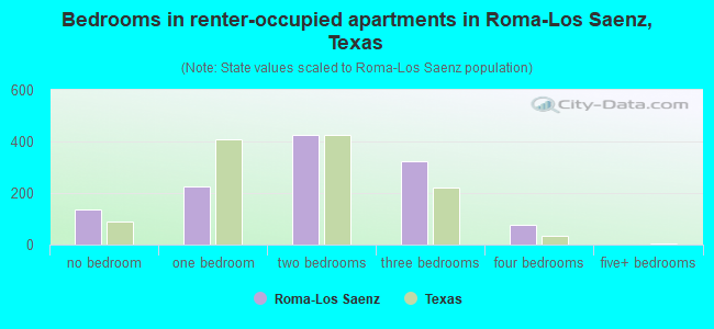 Bedrooms in renter-occupied apartments in Roma-Los Saenz, Texas