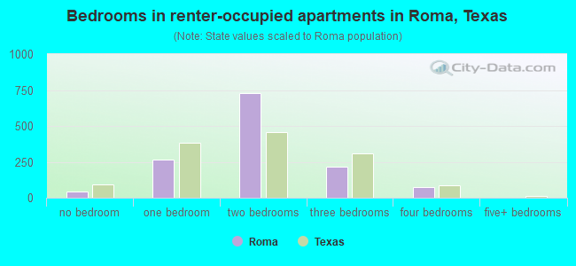 Bedrooms in renter-occupied apartments in Roma, Texas