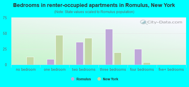 Bedrooms in renter-occupied apartments in Romulus, New York