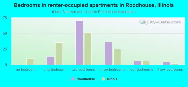 Bedrooms in renter-occupied apartments in Roodhouse, Illinois