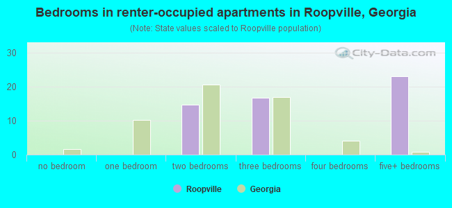 Bedrooms in renter-occupied apartments in Roopville, Georgia