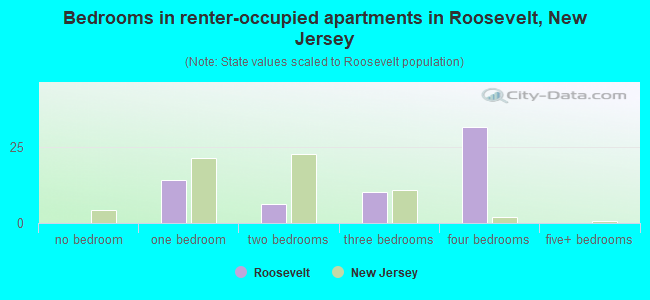Bedrooms in renter-occupied apartments in Roosevelt, New Jersey