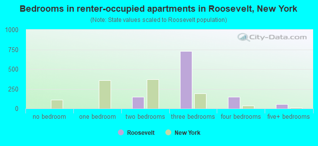 Bedrooms in renter-occupied apartments in Roosevelt, New York