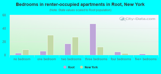 Bedrooms in renter-occupied apartments in Root, New York