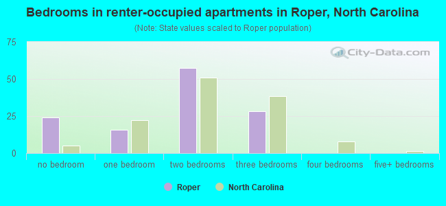 Bedrooms in renter-occupied apartments in Roper, North Carolina