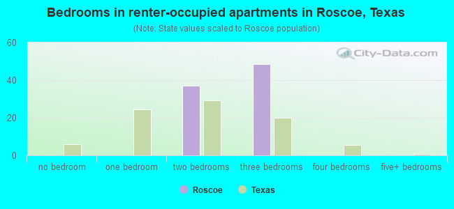 Bedrooms in renter-occupied apartments in Roscoe, Texas