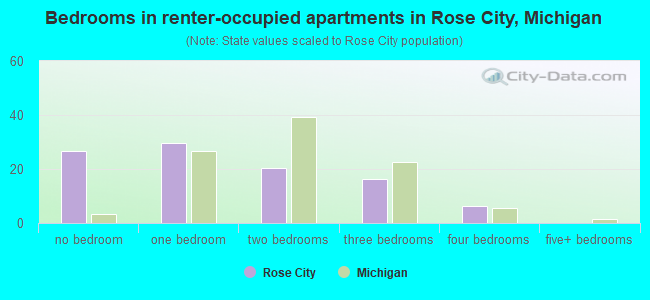 Bedrooms in renter-occupied apartments in Rose City, Michigan