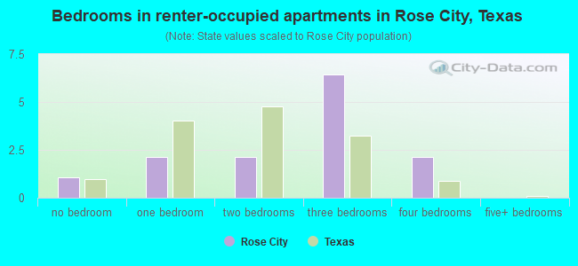 Bedrooms in renter-occupied apartments in Rose City, Texas