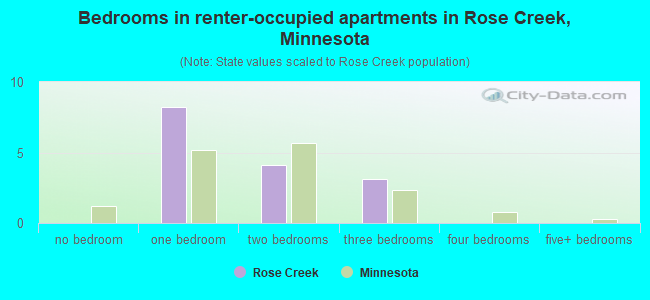 Bedrooms in renter-occupied apartments in Rose Creek, Minnesota