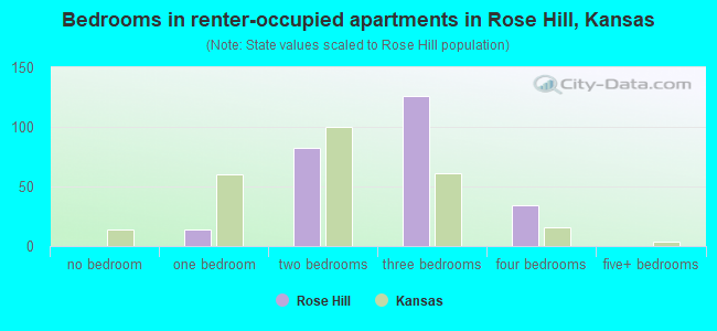 Bedrooms in renter-occupied apartments in Rose Hill, Kansas