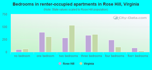 Bedrooms in renter-occupied apartments in Rose Hill, Virginia