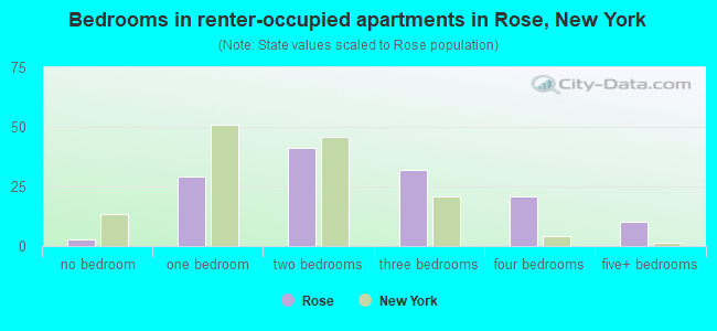 Bedrooms in renter-occupied apartments in Rose, New York