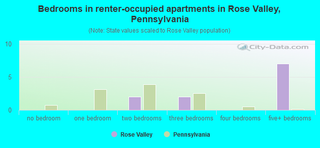 Bedrooms in renter-occupied apartments in Rose Valley, Pennsylvania