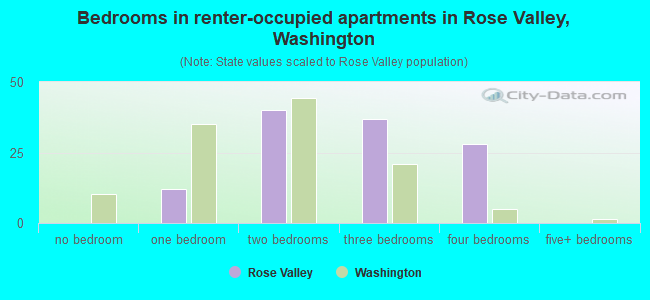 Bedrooms in renter-occupied apartments in Rose Valley, Washington
