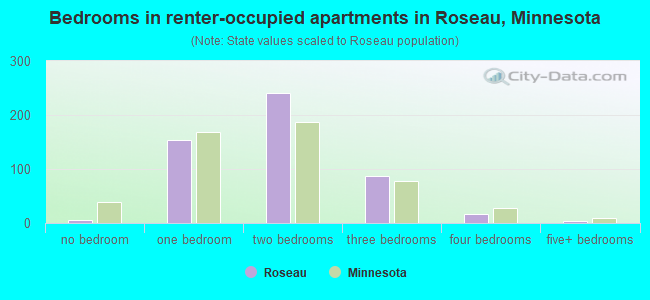 Bedrooms in renter-occupied apartments in Roseau, Minnesota