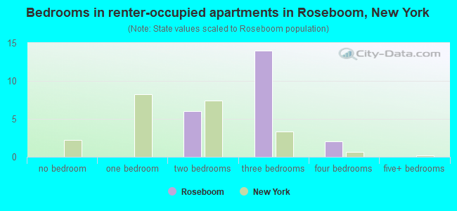 Bedrooms in renter-occupied apartments in Roseboom, New York