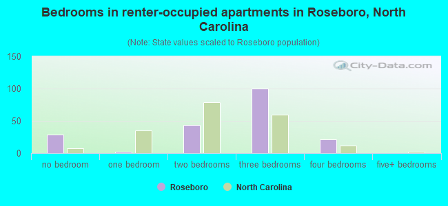 Bedrooms in renter-occupied apartments in Roseboro, North Carolina