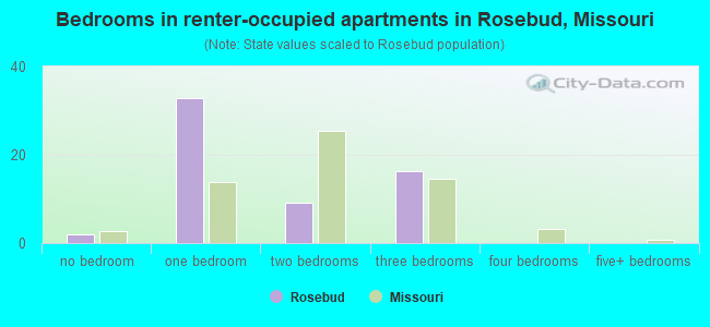 Bedrooms in renter-occupied apartments in Rosebud, Missouri