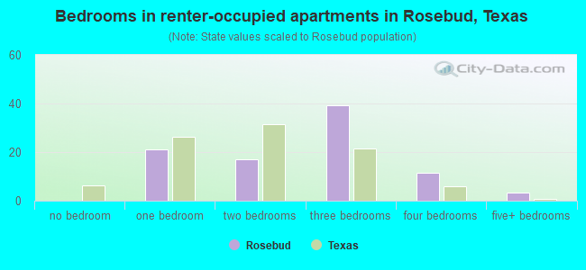 Bedrooms in renter-occupied apartments in Rosebud, Texas