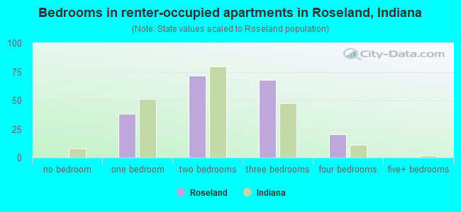 Bedrooms in renter-occupied apartments in Roseland, Indiana