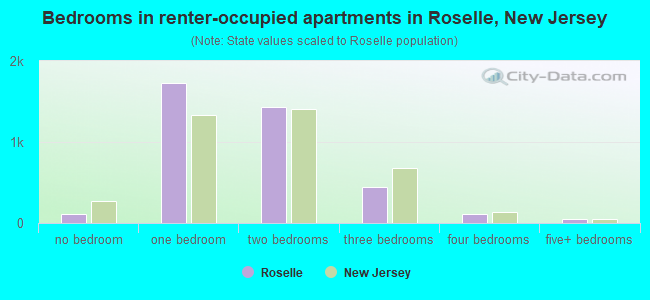 Bedrooms in renter-occupied apartments in Roselle, New Jersey