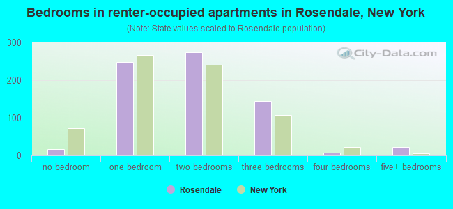 Bedrooms in renter-occupied apartments in Rosendale, New York