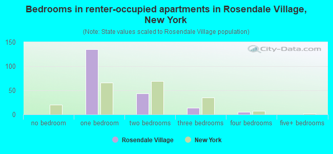 Bedrooms in renter-occupied apartments in Rosendale Village, New York