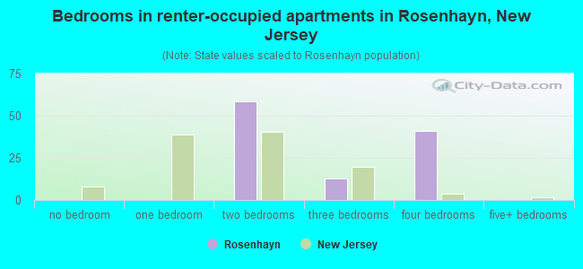 Bedrooms in renter-occupied apartments in Rosenhayn, New Jersey