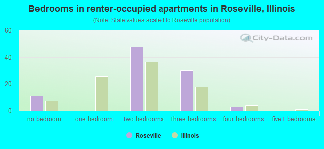 Bedrooms in renter-occupied apartments in Roseville, Illinois