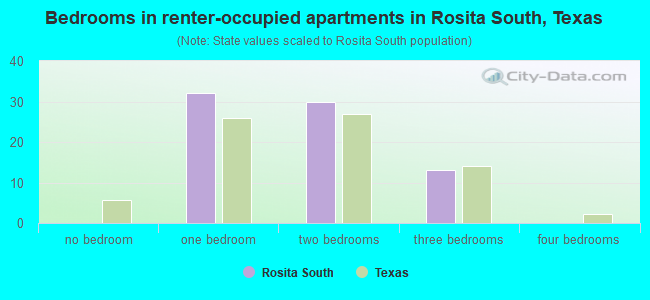 Bedrooms in renter-occupied apartments in Rosita South, Texas