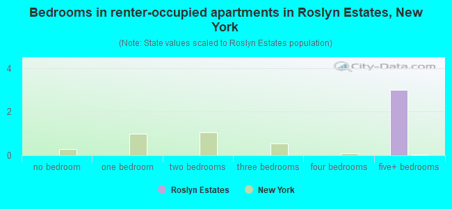 Bedrooms in renter-occupied apartments in Roslyn Estates, New York
