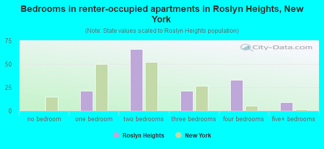 Bedrooms in renter-occupied apartments in Roslyn Heights, New York