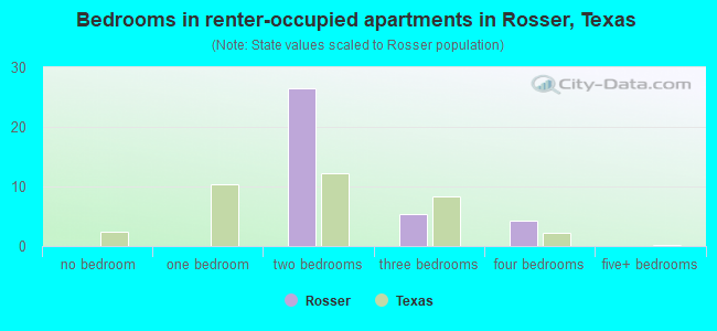 Bedrooms in renter-occupied apartments in Rosser, Texas