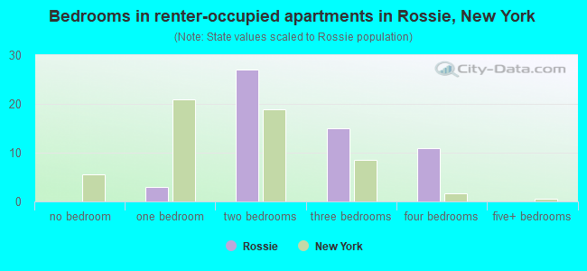 Bedrooms in renter-occupied apartments in Rossie, New York