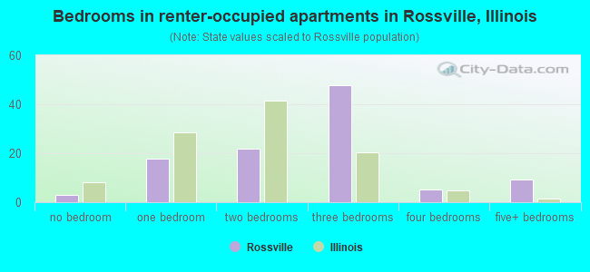 Bedrooms in renter-occupied apartments in Rossville, Illinois