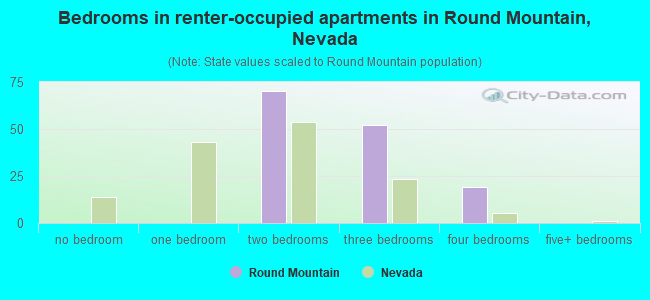Bedrooms in renter-occupied apartments in Round Mountain, Nevada