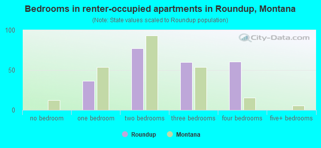 Bedrooms in renter-occupied apartments in Roundup, Montana
