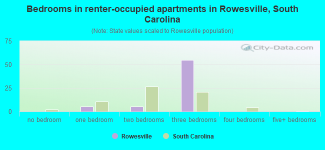 Bedrooms in renter-occupied apartments in Rowesville, South Carolina