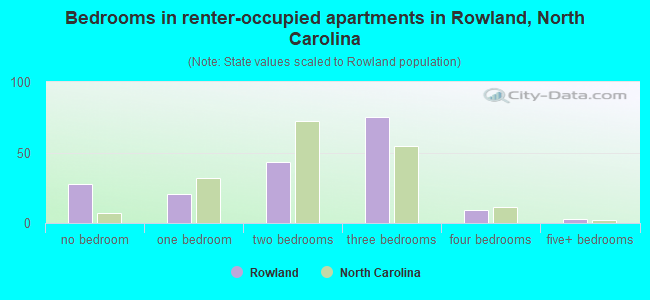 Bedrooms in renter-occupied apartments in Rowland, North Carolina