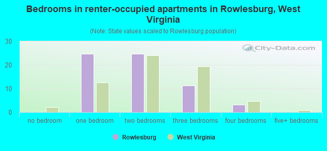 Bedrooms in renter-occupied apartments in Rowlesburg, West Virginia