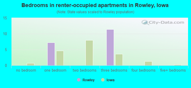 Bedrooms in renter-occupied apartments in Rowley, Iowa
