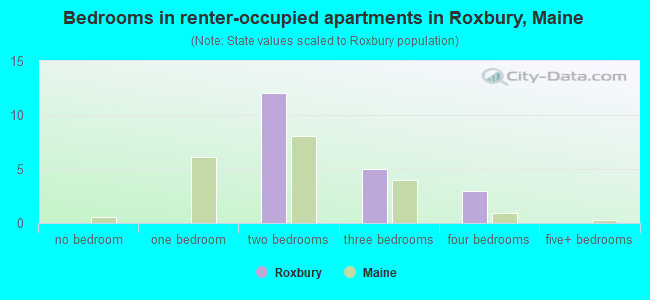 Bedrooms in renter-occupied apartments in Roxbury, Maine