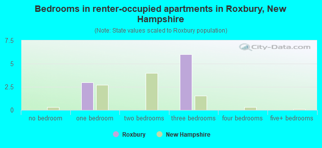 Bedrooms in renter-occupied apartments in Roxbury, New Hampshire