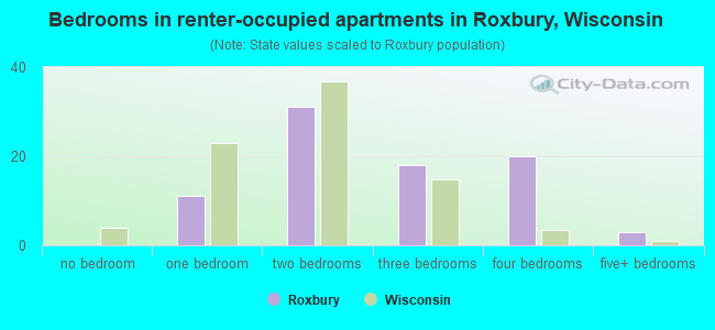 Bedrooms in renter-occupied apartments in Roxbury, Wisconsin