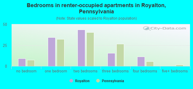 Bedrooms in renter-occupied apartments in Royalton, Pennsylvania