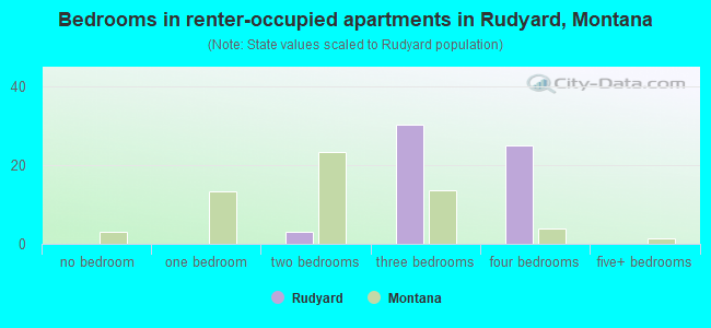 Bedrooms in renter-occupied apartments in Rudyard, Montana